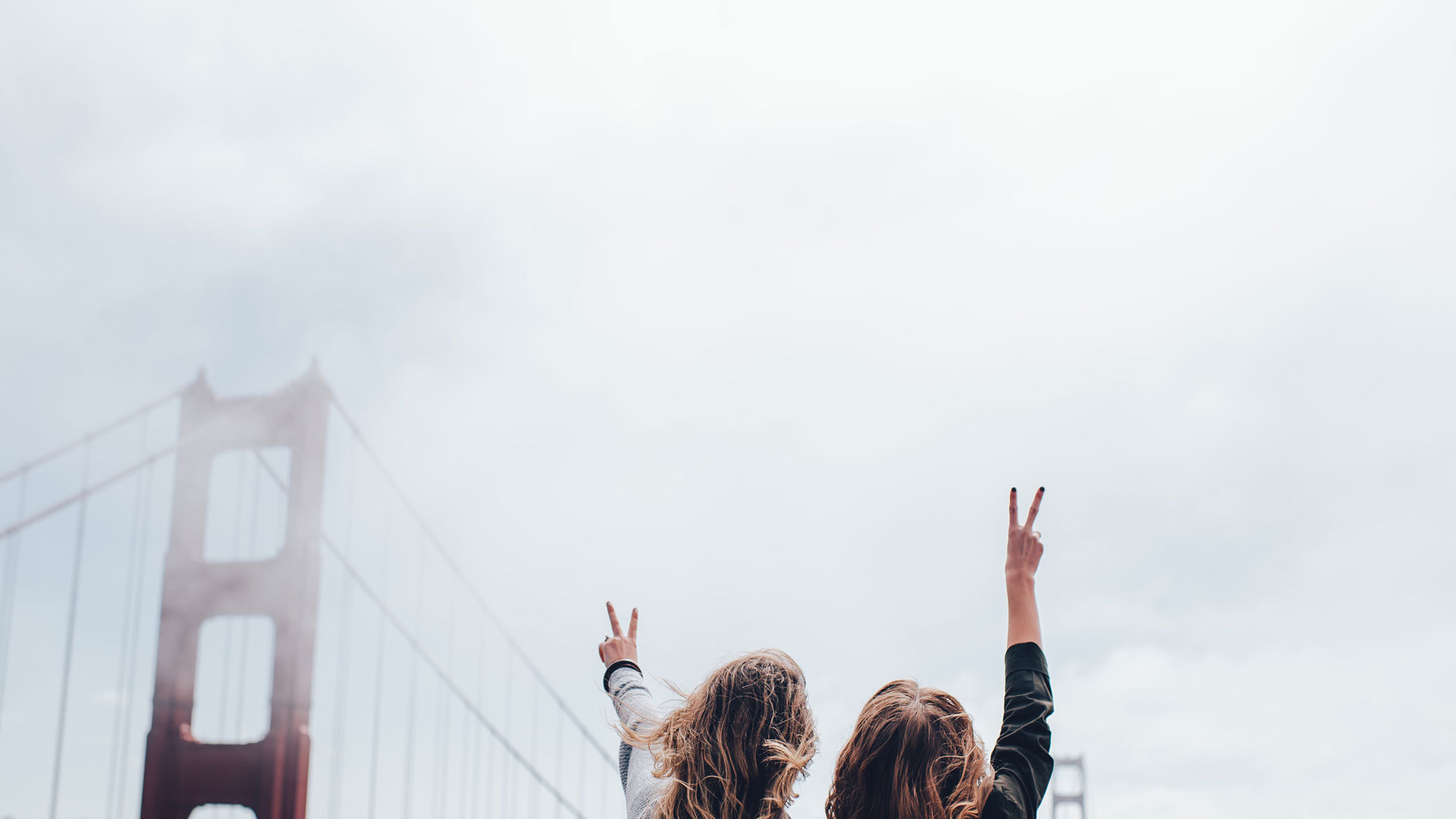 CLEAN & PROFESSIONAL